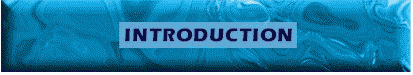 BIborder.jpg (11201 bytes)